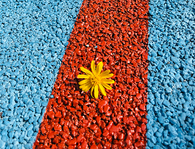 环保品质，种类齐全